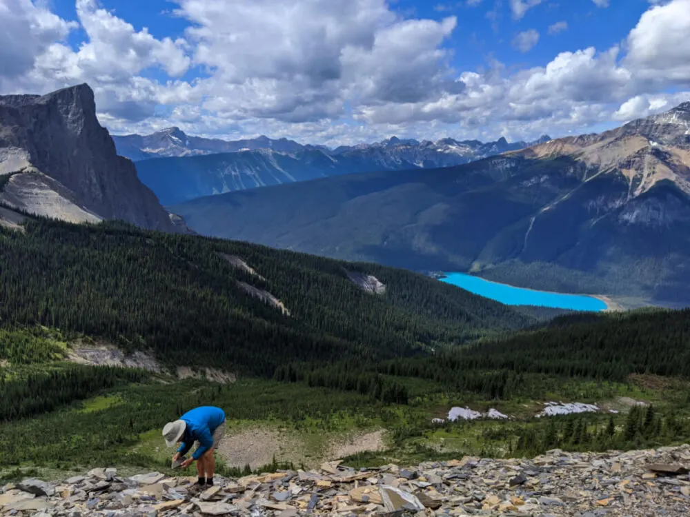 JR looking for Burgess Shale fossils at Walcott Quarry with Emerald Lake an surrounding mountains in the background