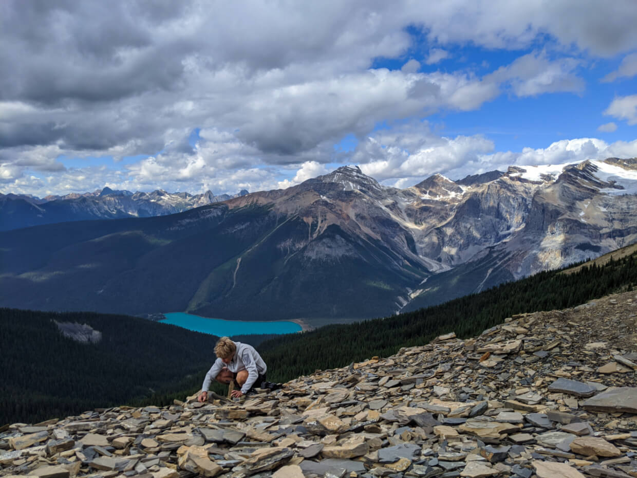 Leigh searches for Burgess Shale fossils at the Walcott Quarry, with a backdrop of mountains, a glacial lake and a glacier
