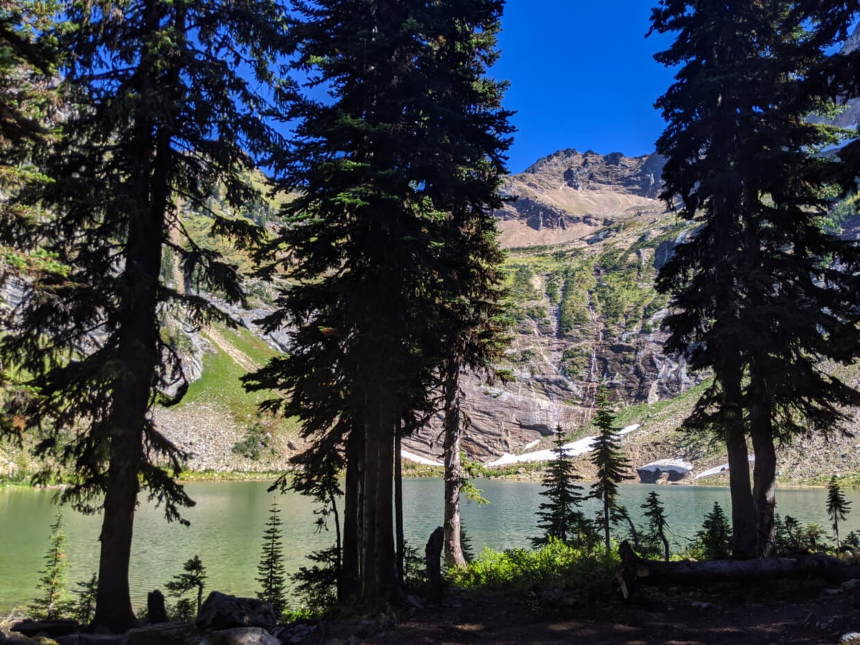 Silhouette of trees in front of Pinnacle Lake