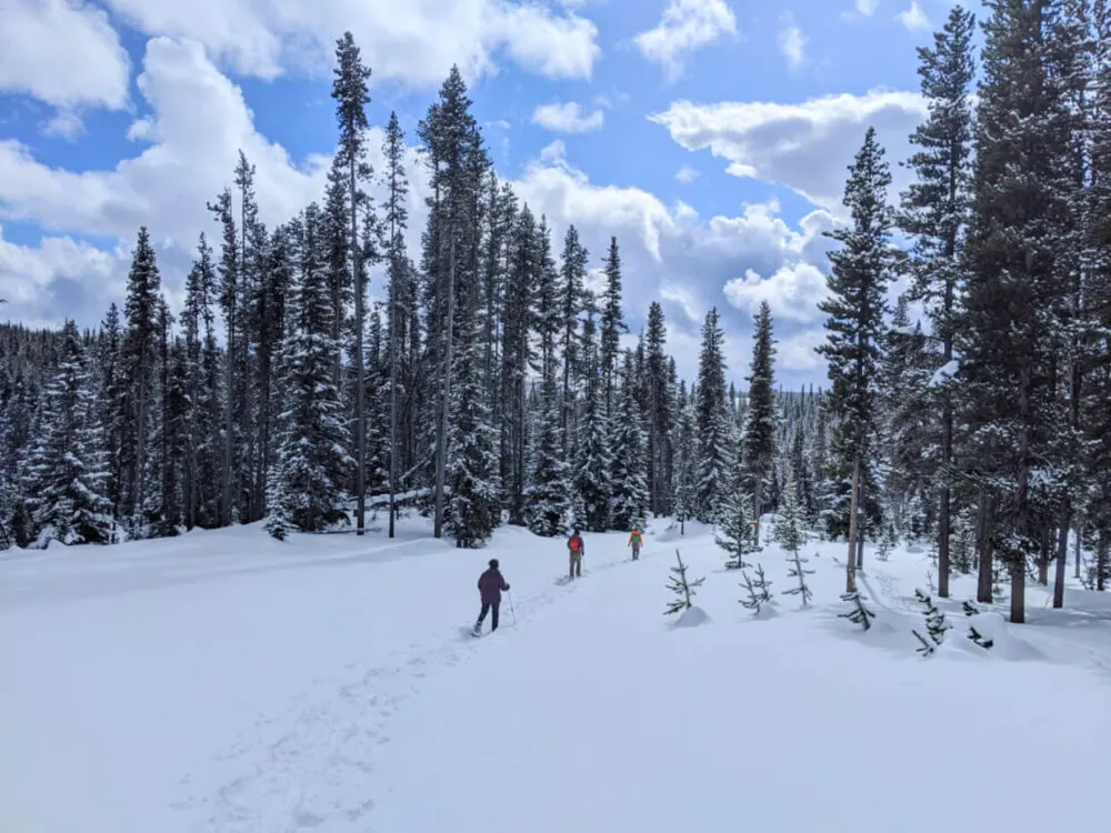 Three people snowshoeing through snow covered landscape in British Columbia