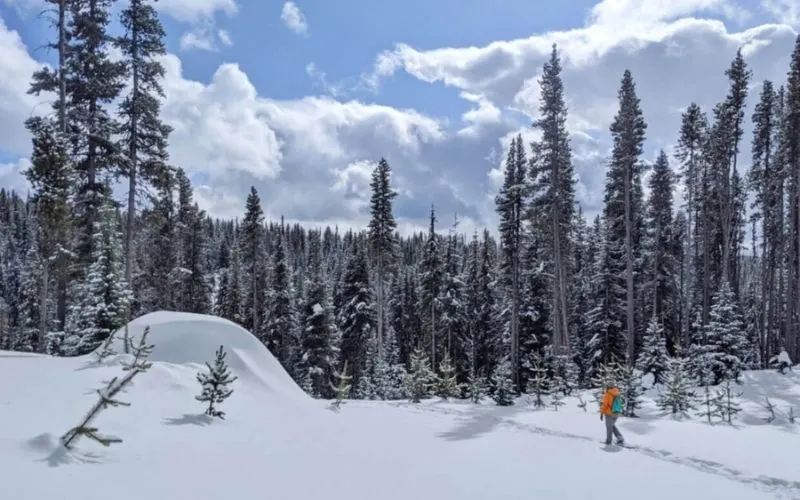 Snowshoeing 101: A Beginner’s Guide