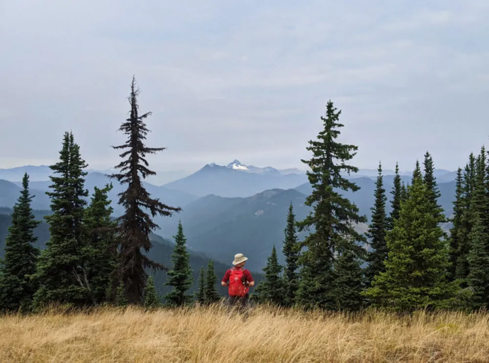 View from top of summit looking towards figure in red standing inbetween line of trees, with layers of mountains in the distance beyond