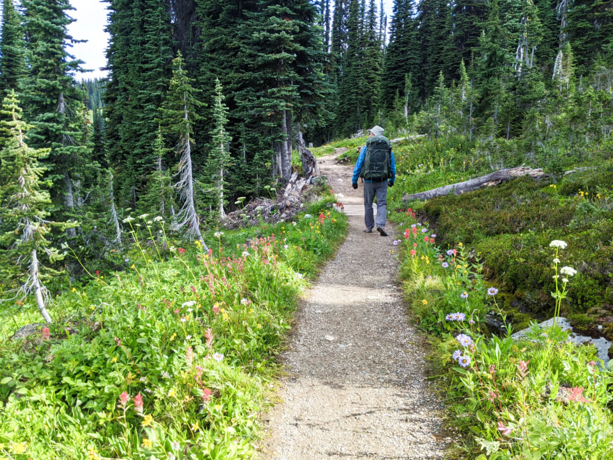 JR walking ahead on Eva Lake Trail with wildflowers and forest lining the trail