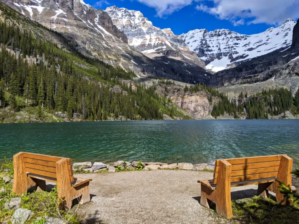 Two wooden benches set in front of Lake O'Hara with views of calm lake and mountainous backdrop