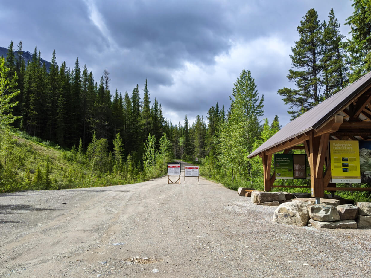 Bus shelter on left with unpaved road stretching into distance, lined by trees