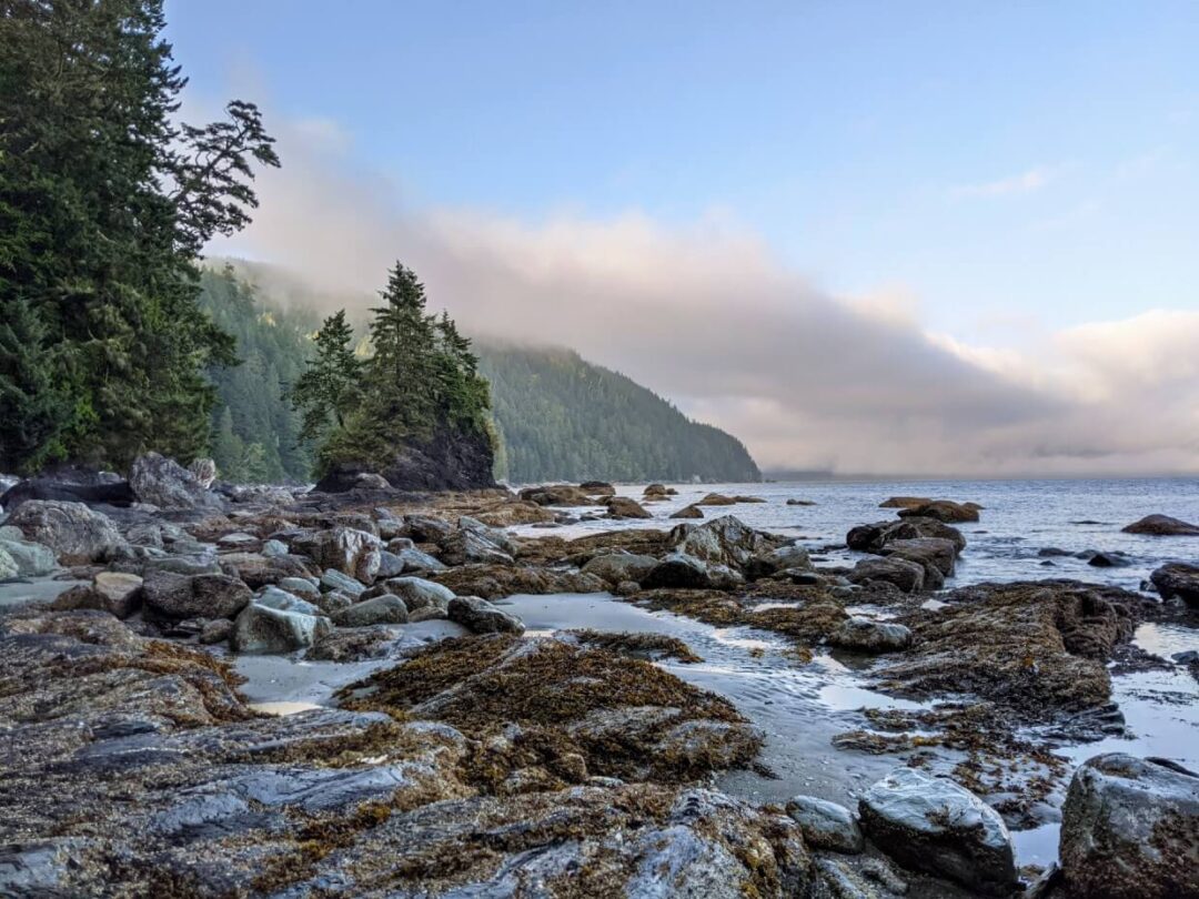 Where to Camp on the West Coast Trail: Complete Campground Guide