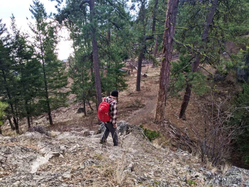 JR descending one of the rocky sections of Pincushion Mountain, wearing a plaid shirt and red backpack, with pine trees in background