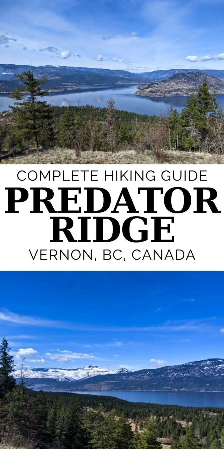 Easily accessed right from Highway 97, Predator Ridge is one of those classic 'hiding in plain sight' hiking destinations. Click here to discover why you should check out the hiking trails at Predator Ridge, near Vernon, British Columbia (Canada). offtracktravel.ca