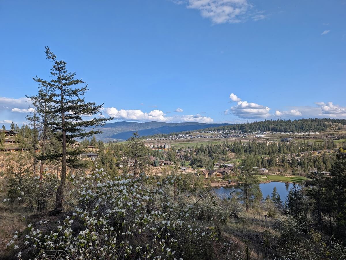 Granite Trail view of Predator Ridge community, with rows of houses on sloped terrain, lake, spring flowers and trees