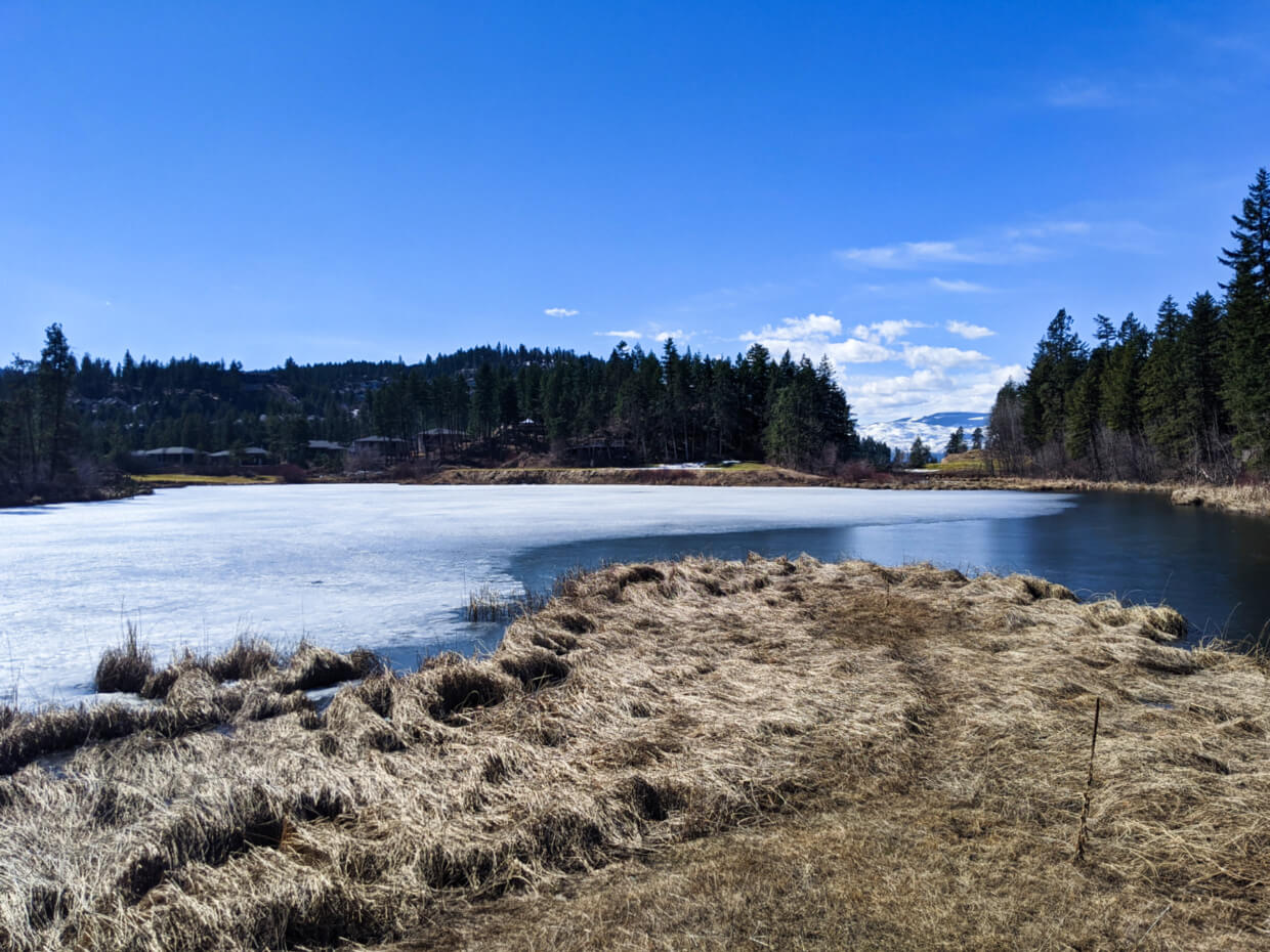 View from the observation platform on Birdie Lake, Predator Ridge. Part of the lake is still frozen and some houses can be seen at the other end of the lake. 