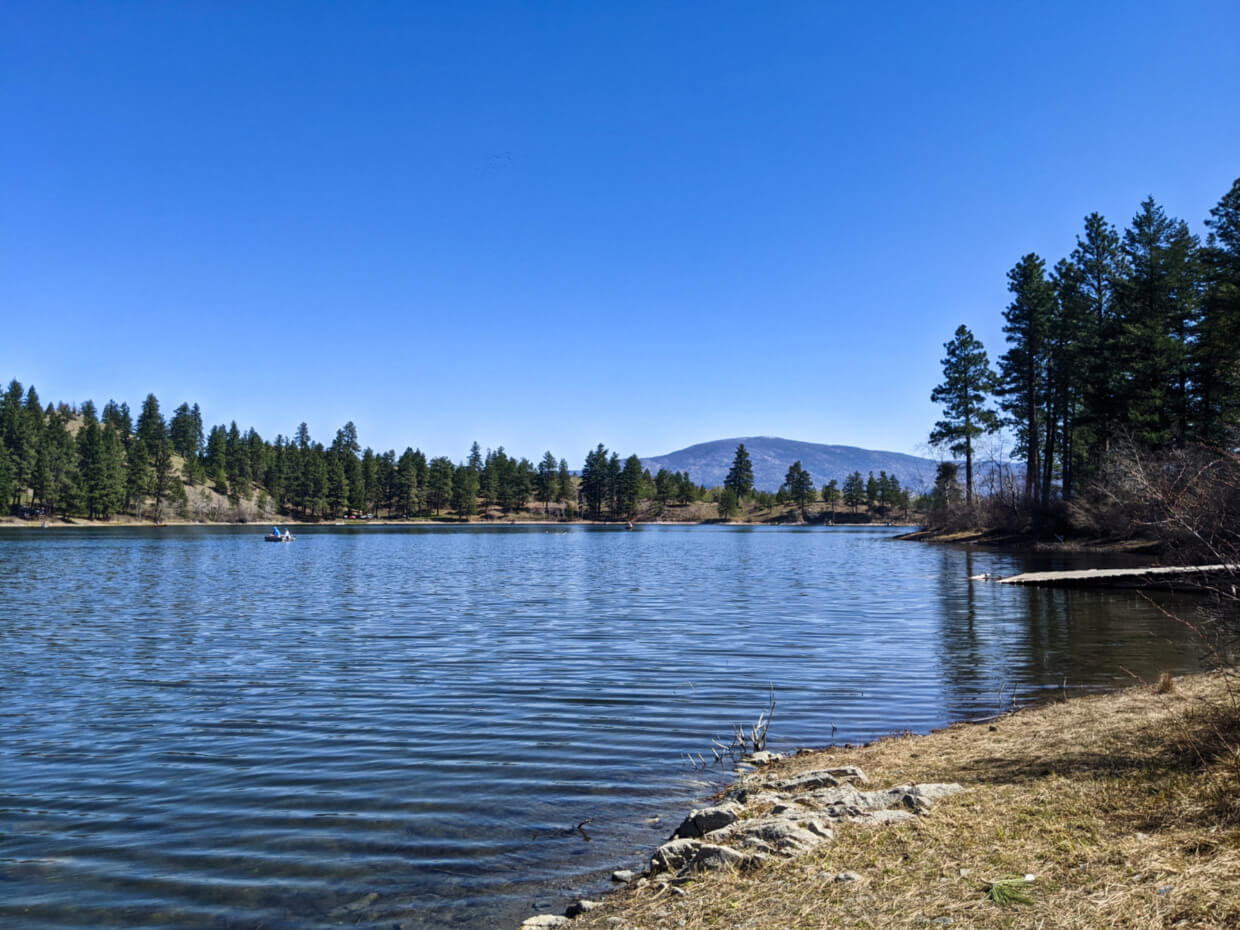 Side view of Burnell Lake, with a number of boats on calm lake surface, with trees surrounding lakeshore