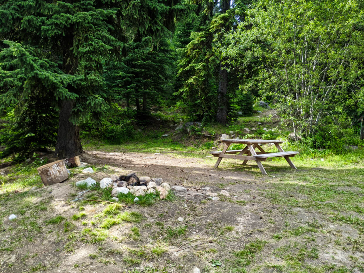 View of rustic campsite with rock fire ring and picnic table on dirt surface, surrounded by trees