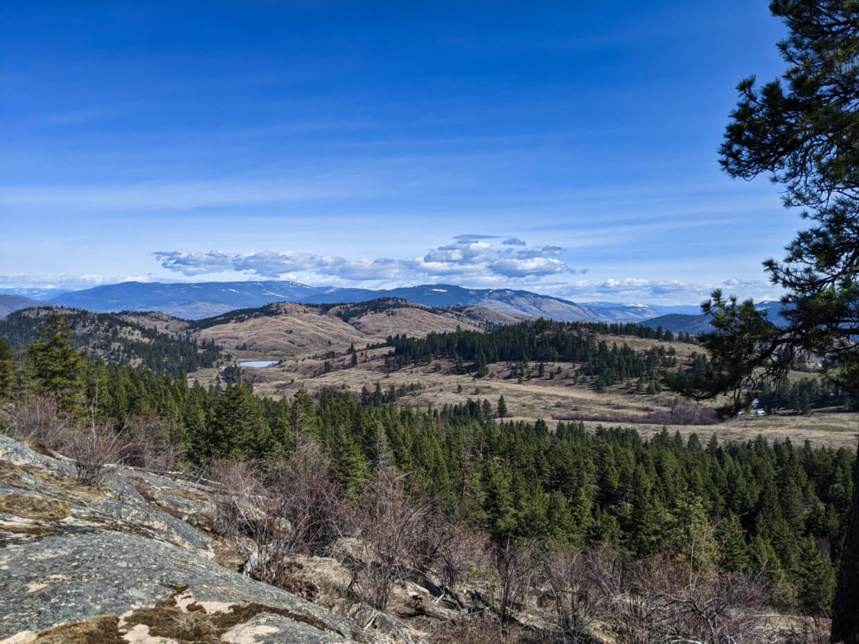 View from Predator Ridge hiking trail towards rugged and hilly grasslands, with forest in foreground