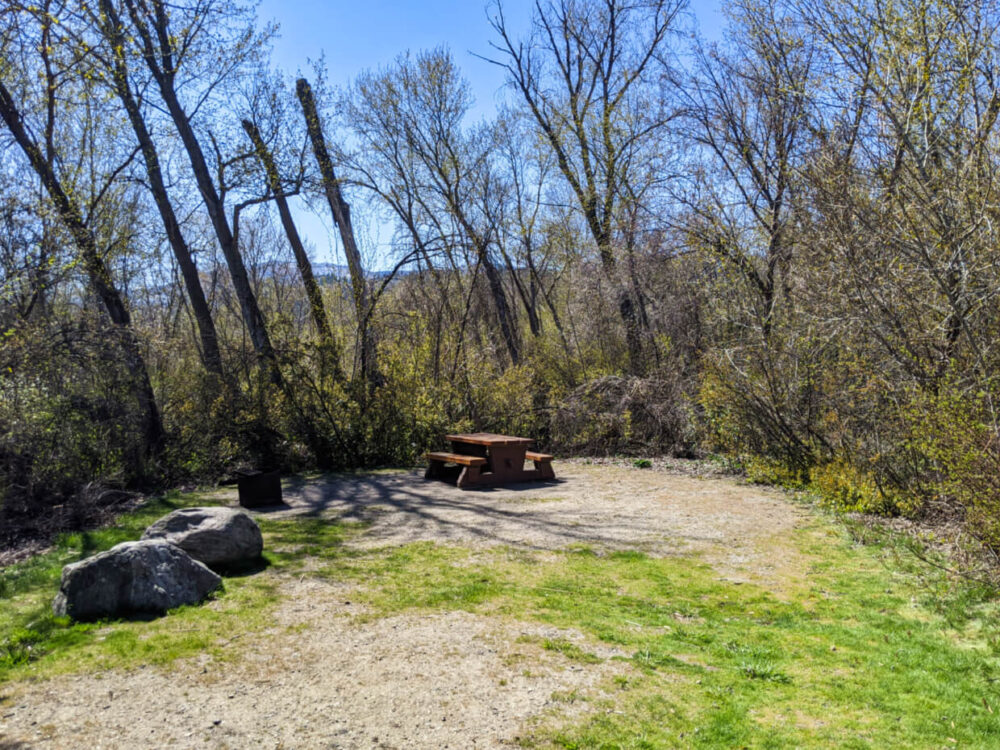 View of grass and dirt campground with picnic table and fire pit, surrounded by trees