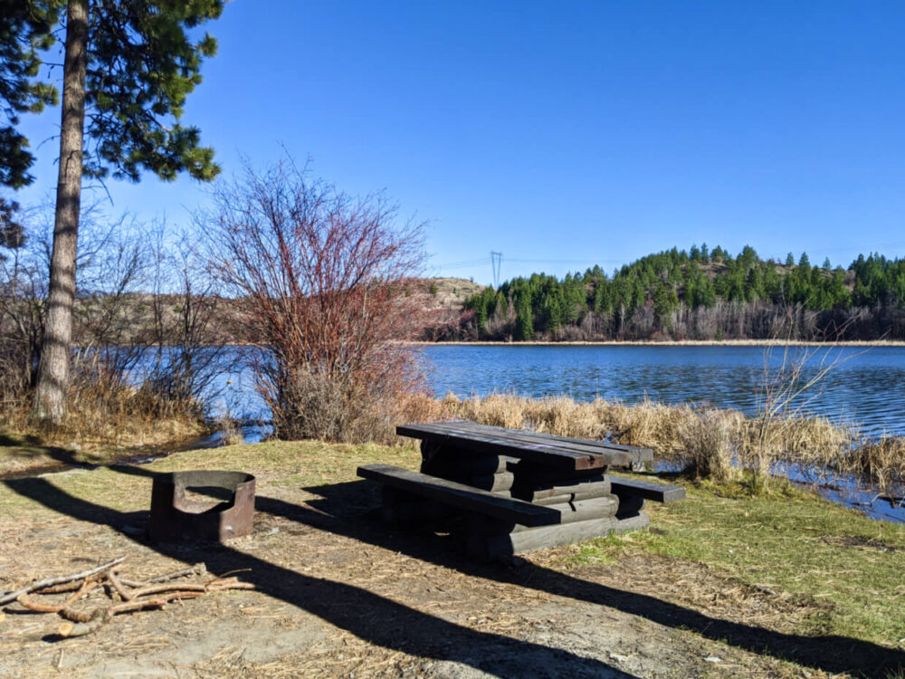 Picnic table and fire ring on grassy campsite in front of calm lake