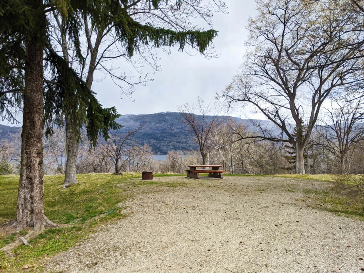 Level view of campsite with picnic table and fire pit, surrounded by scattered trees and Okanagan Lake visible in the background