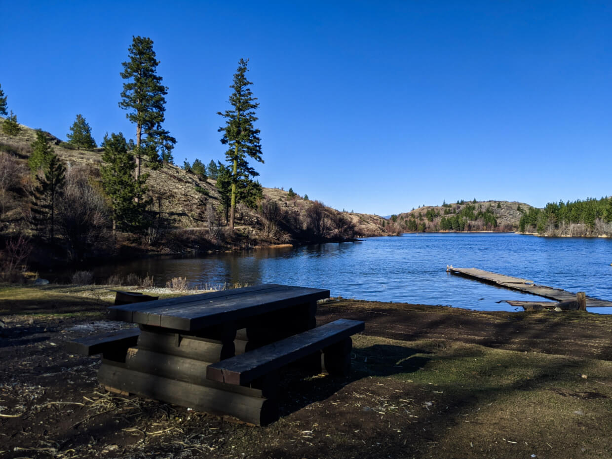 Picnic table in front of lake view, with wharf in background and spare trees