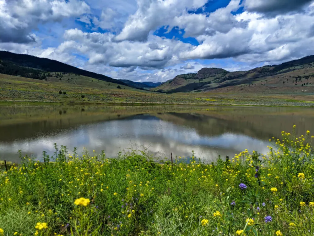Looking out to reflective White Lake with wildflowers in foreground and desert landscape in the background
