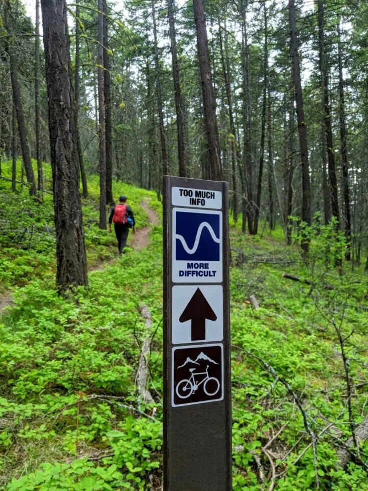 Close up of Too Much Info sign with JR hiking away from camera through forest in background