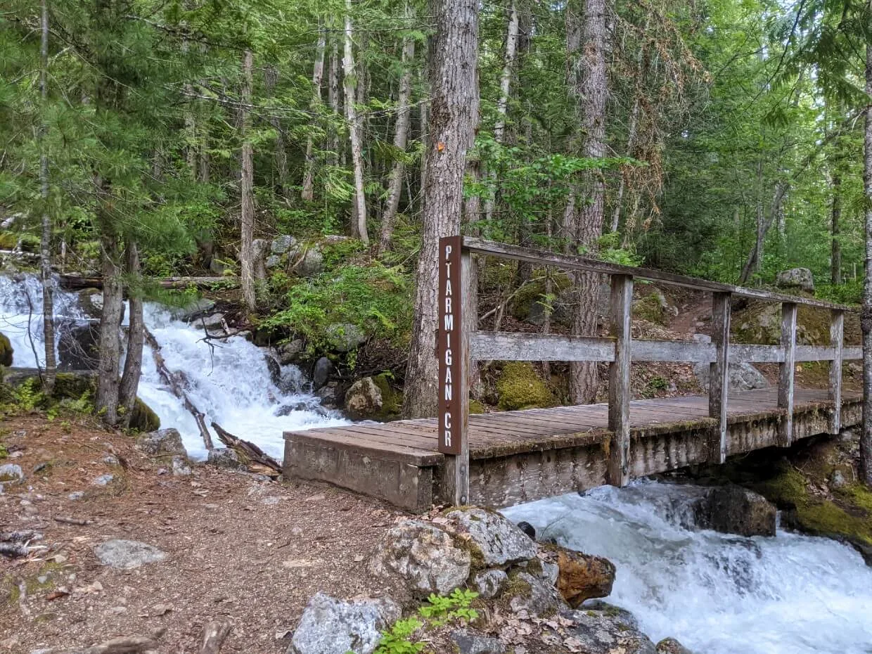 Wooden bridge crossing river, with Ptarmigan Creek name on side. Water is visibly rushing underneath the bridge