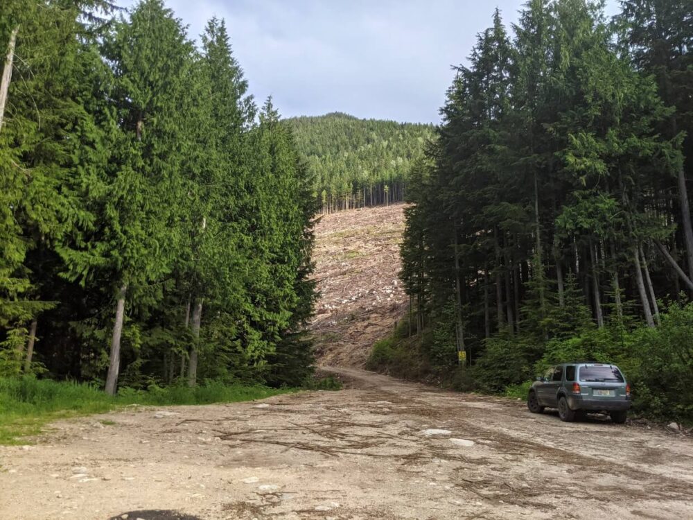 Looking across unpaved parking lot with singular vehicle parked on right hand side. The parking lot is surrounded by trees, except for a cutblock (caused by logging) ahead