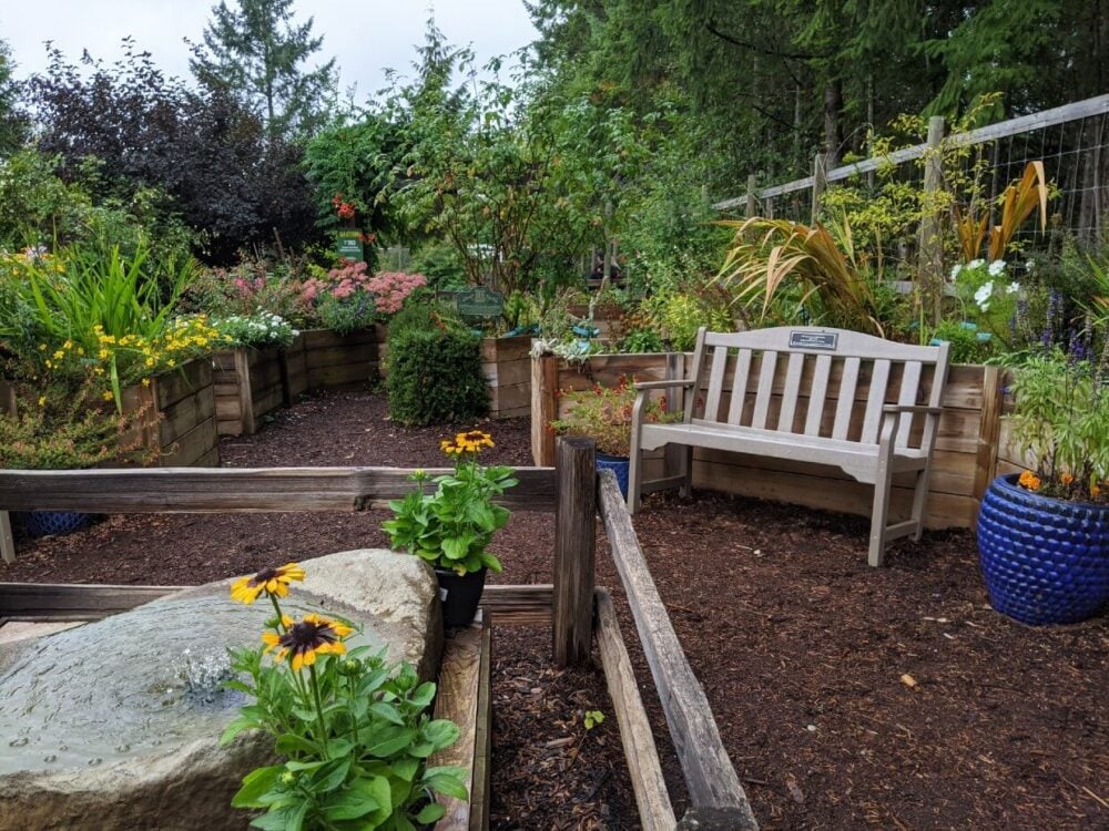 North Island Wildlife Recovery Centre garden with park bench surrounded by flower boxes