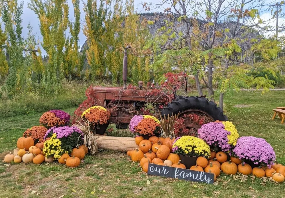 Fall decorations at Covert Farms, with old tractor covered in pumpkins and flowers