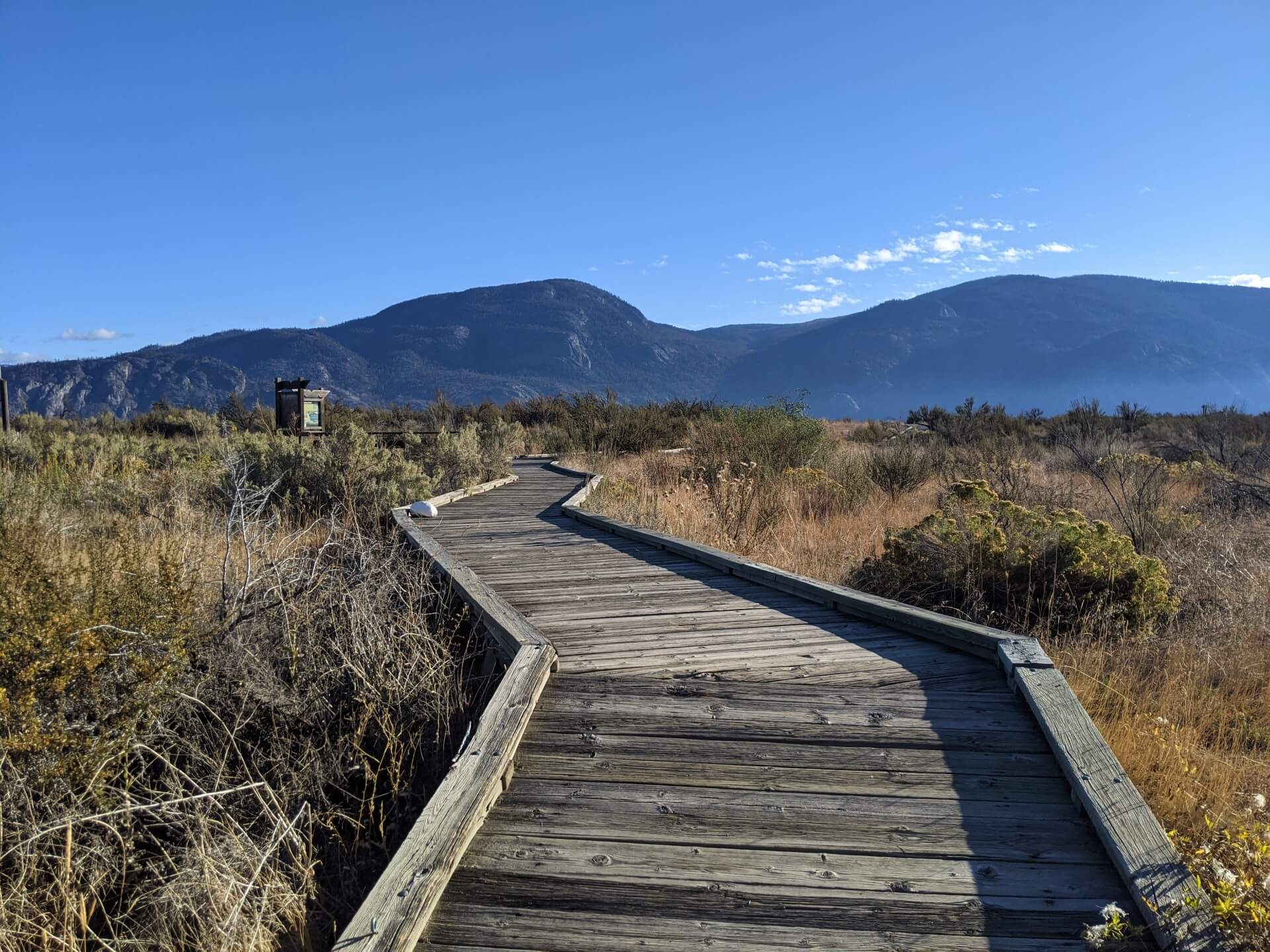 Low angle view of wooden boardwalk leading away from camera through desert landscape