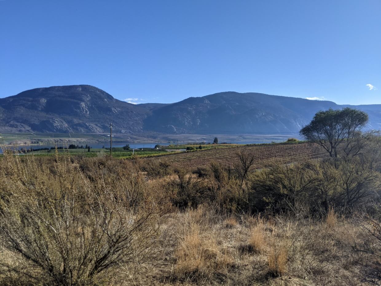 View across desert landscape from boardwalk towards Osoyoos Lake and vineyards