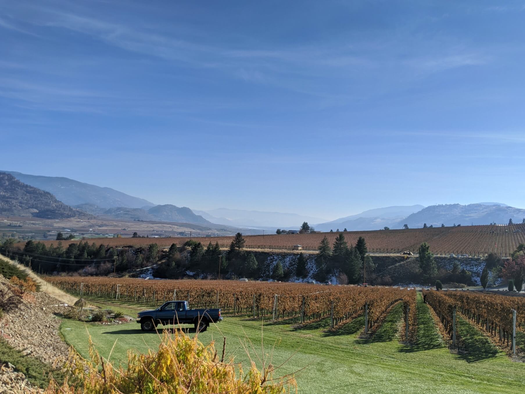 Looking down to brown coloured vineyards and rugged landscape in background