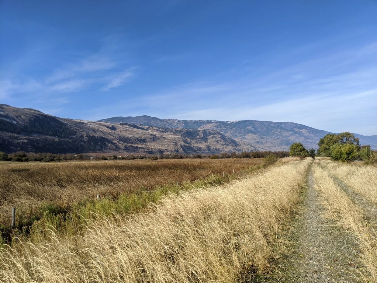 Looking ahead to dirt trail leading towards rugged mountain hills in Osoyoos