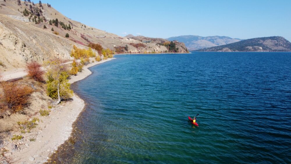 Overhead drone image of JR paddling kayak on Kalamalka Lake on calm day, with shoreline visible (and dotted with autumnal yellow trees), with hills in the background