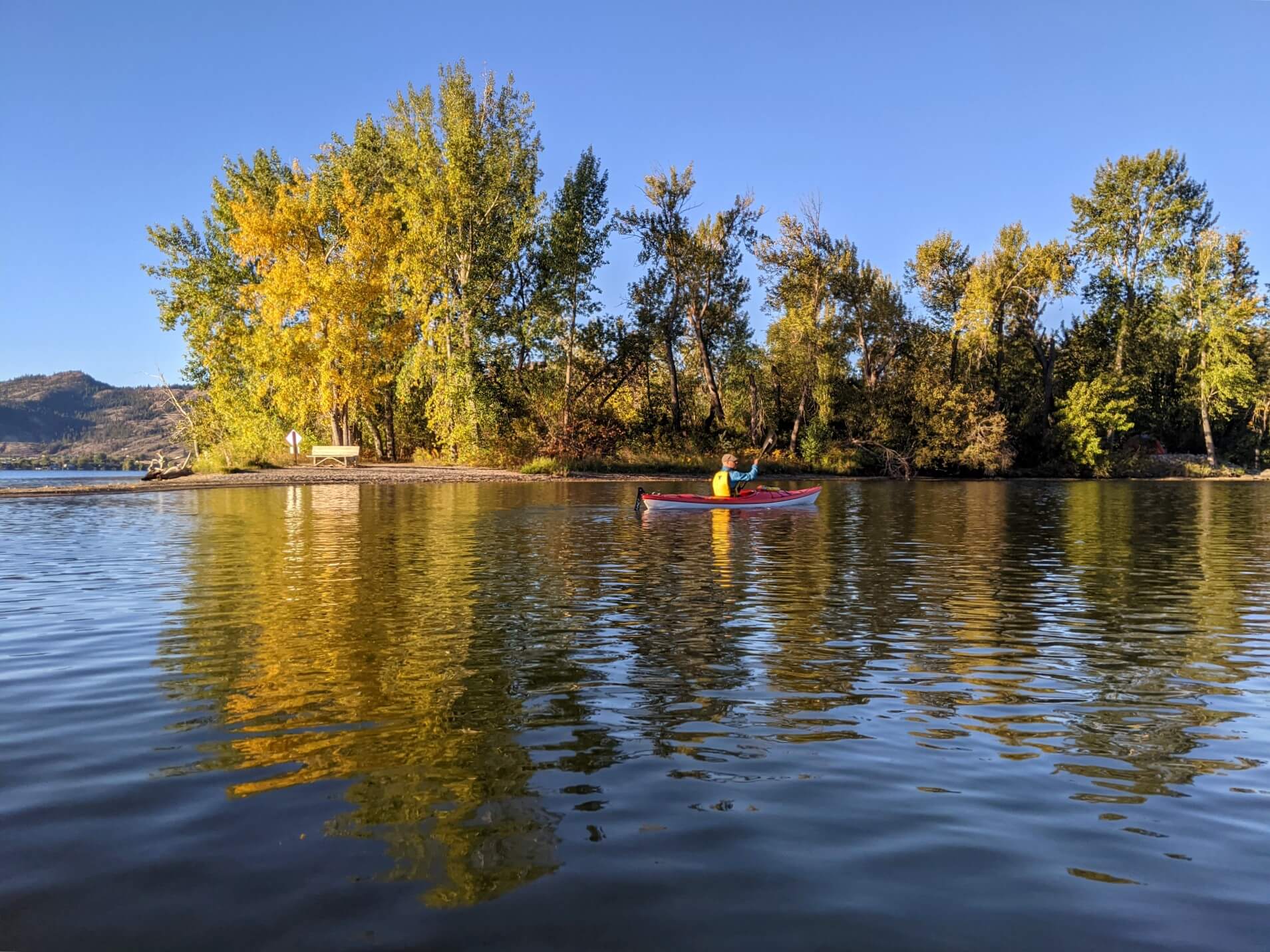 Kayak view towards another kayak paddling past point of land with yellowing trees
