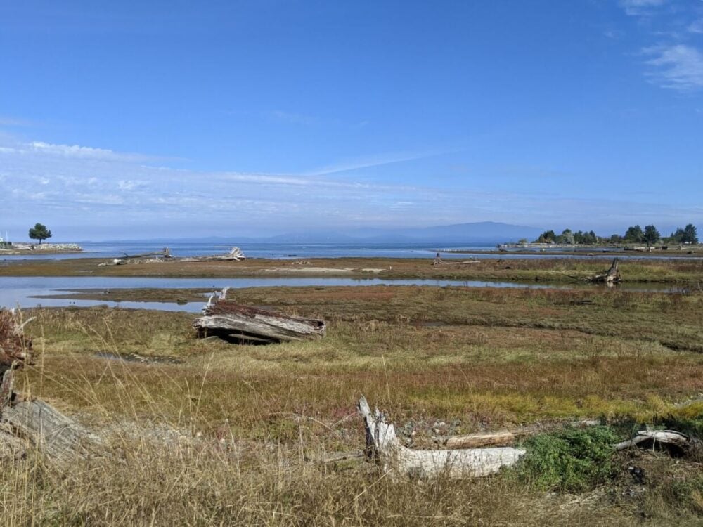 View out from Englishman River Estuary trail with driftwood, marsh area and ocean