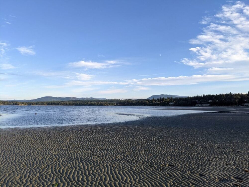 View across sandy beach (with tide out in Parksville towards forested residential area, with mountains visible behind