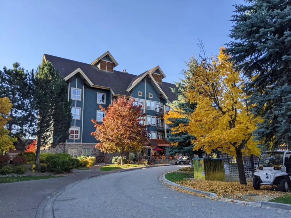 A four story building sits at the end of the driveway, with autumn coloured trees in front