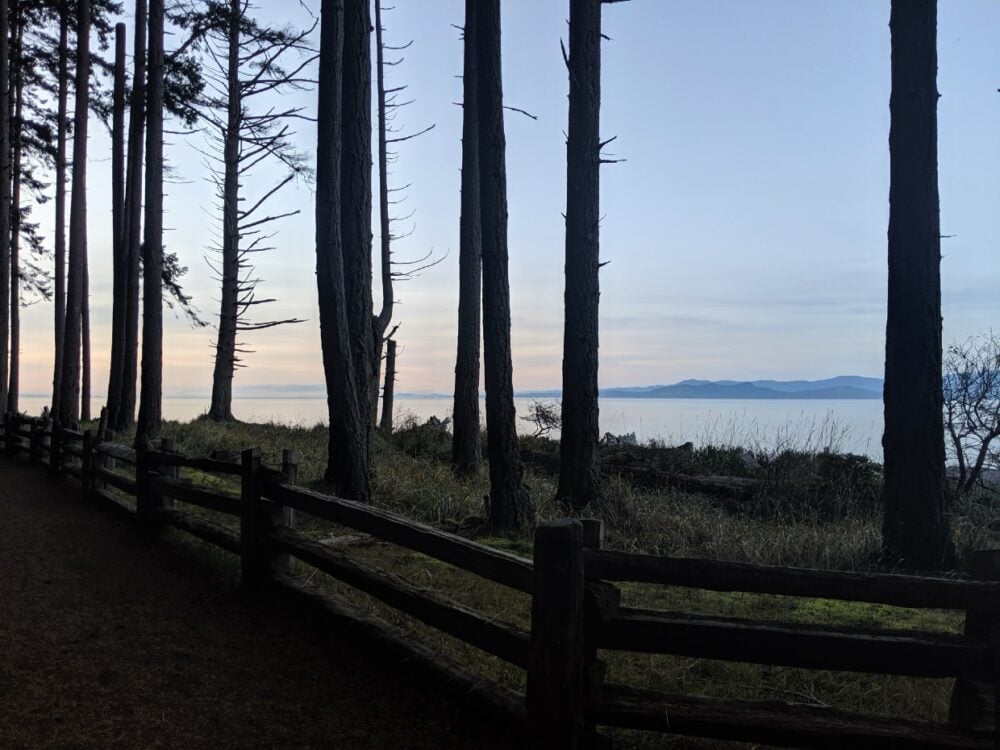 Looking through the tall trees at Rathtrevor Provincial Park campground towards ocean and mountain view