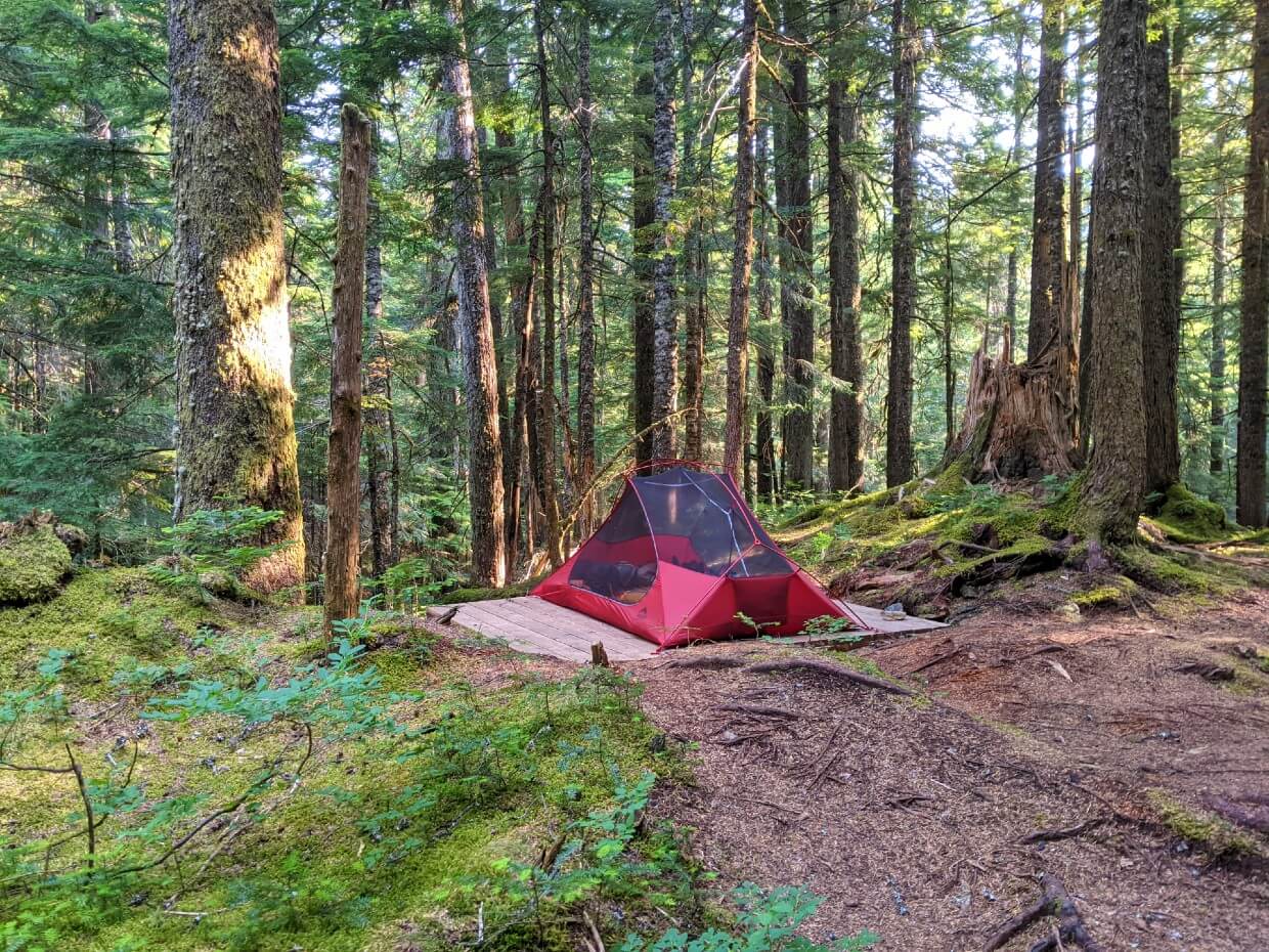 Set up tent on wooden tent pad at forested Colville Camp