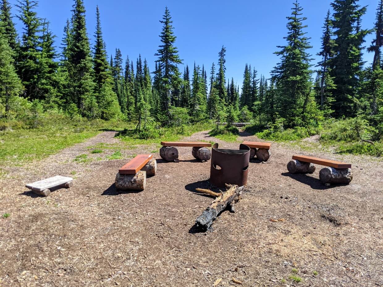 Fire pit and seating area backdropped by forest in Conglomerate Flats Camp