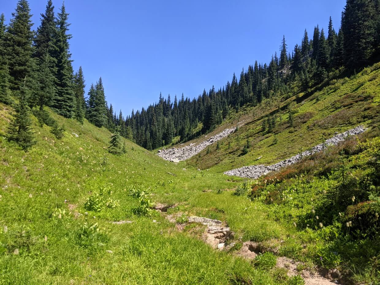 Looking ahead to dirt trail winding through lush narrow ravine in the Defiles, bordered by forest