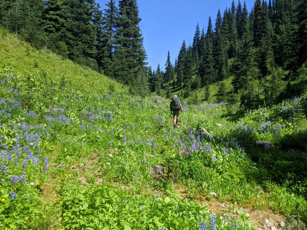 Hiking through the Defiles, a narrow valley covered in wildflower meadows