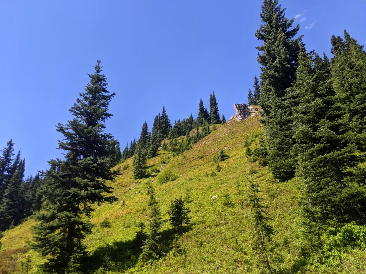Looking up across steep meadow slope in the Defiles to rock formation