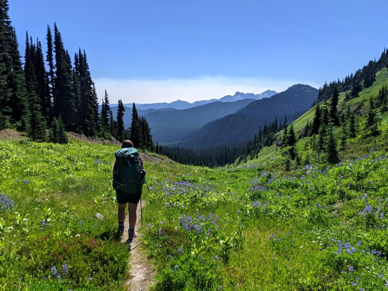 Back view of Gemma hiking on narrow dirt trail, surrounded by wildflower meadows with views of mountains ahead