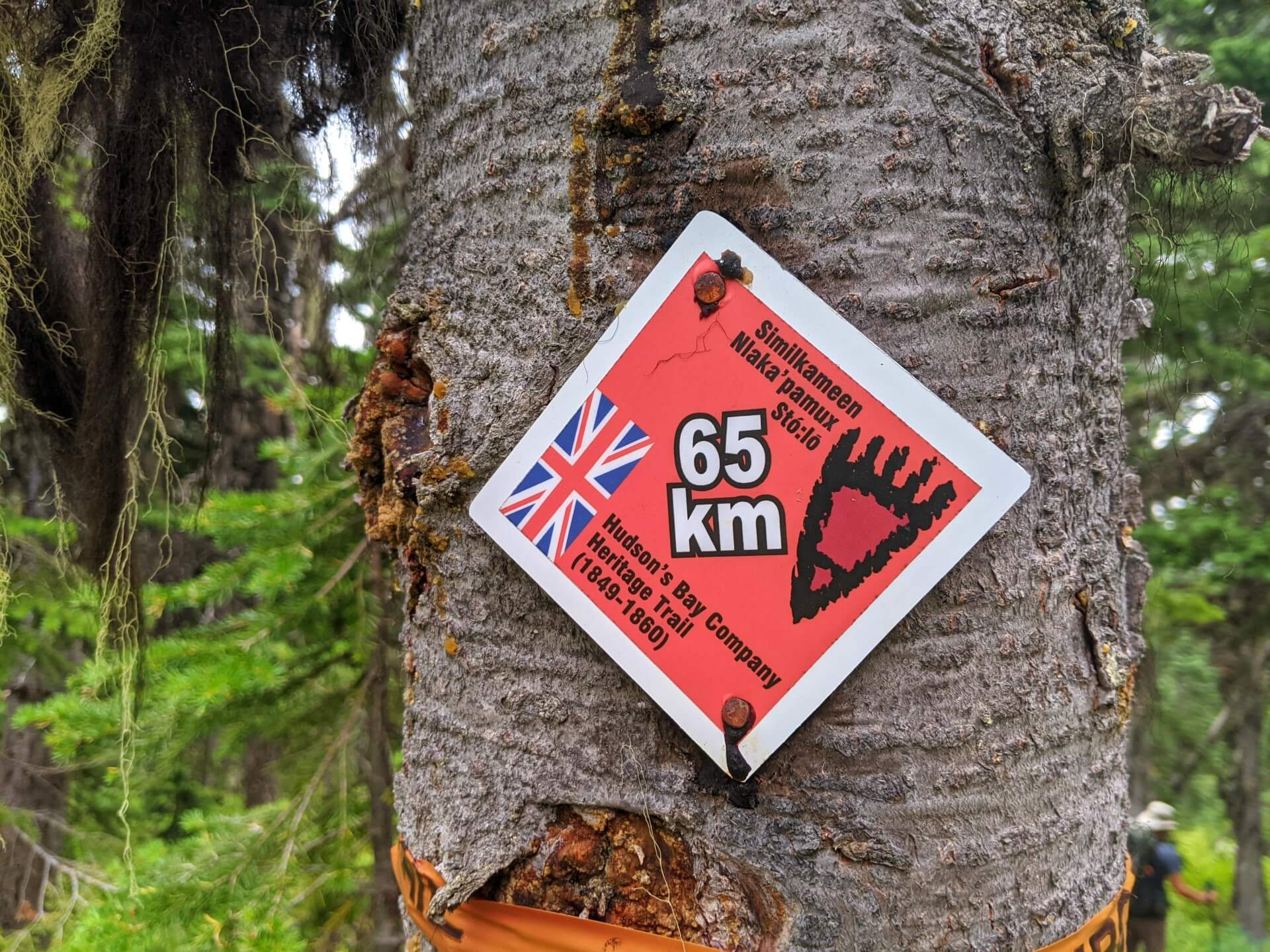 Close up of red 65km marker on HBC Trail
