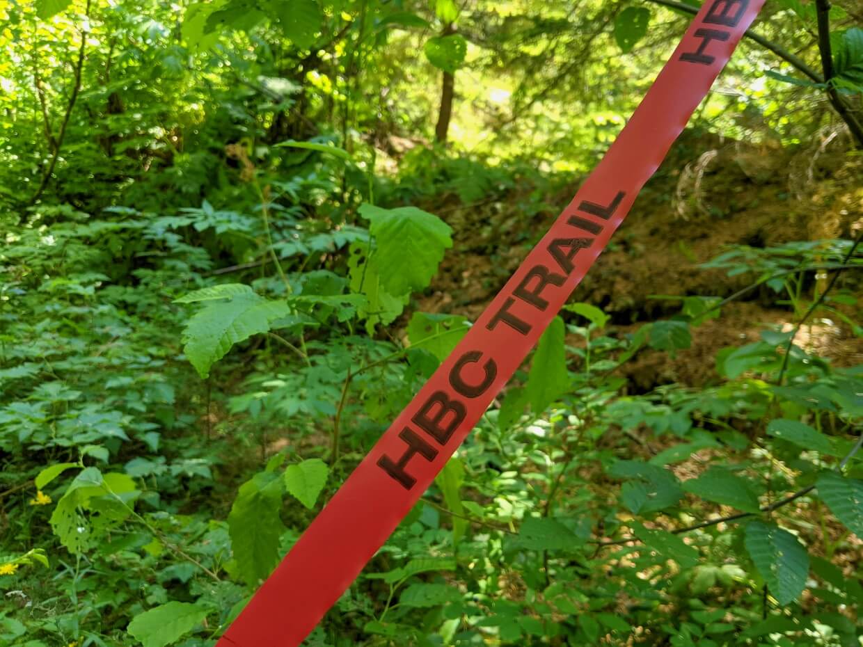 Close up of red HBC Trail flagging in forest