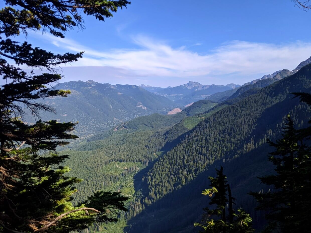 Looking through the trees from Manson's Ridge to views over valley below