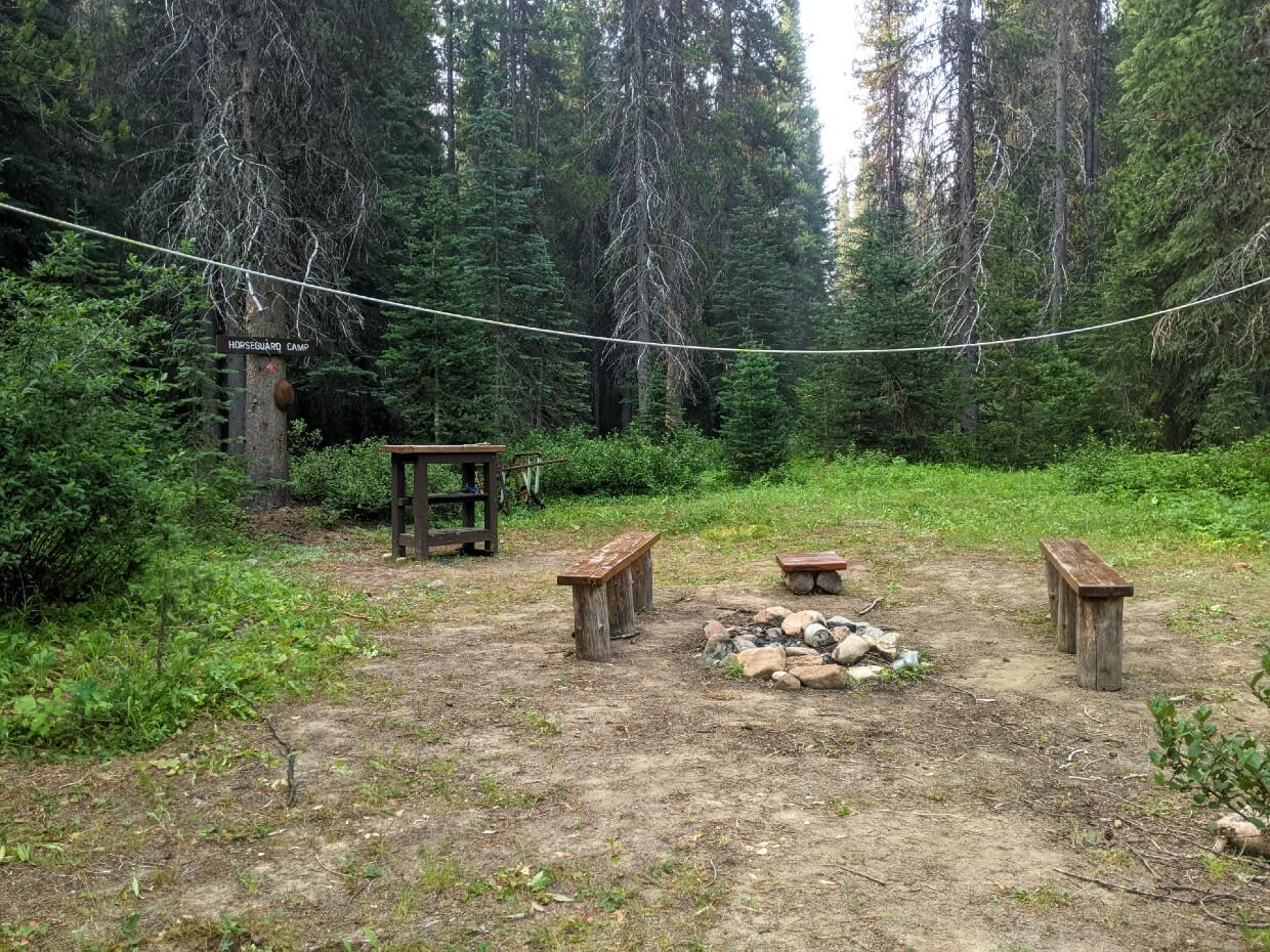 Firepit and seating at Horseguard Camp, surrounded by forest
