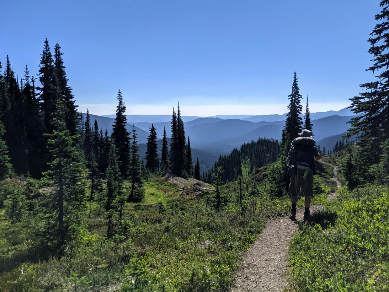 Back view of JR hiking narrow dirt trail in the alpine with scattered trees and mountain views in background