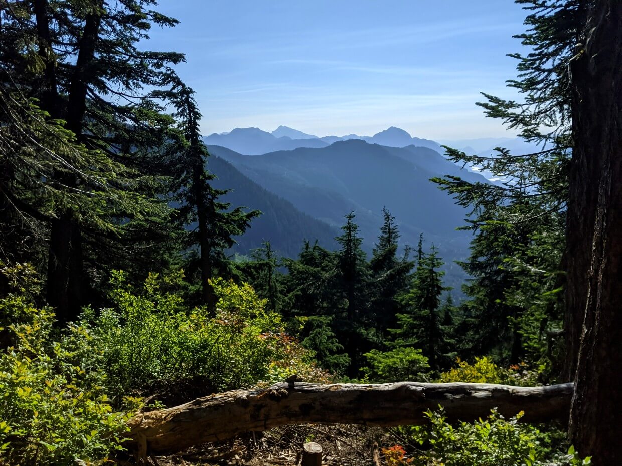 Looking through trees at the views from Manson's Ridge, with valleys visible in background