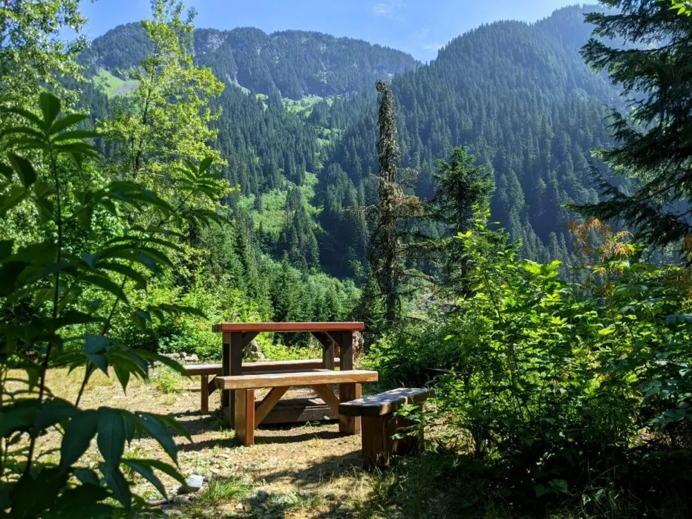 Picnic bench in Manson's Camp, looking out to surrounding forested hills